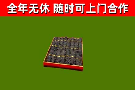 果洛回收海参
